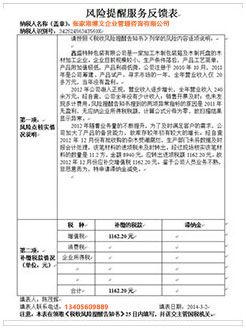 大城税务服务